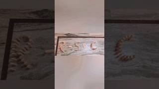 RS Creations#RSC#woodenblocks#Rs creations@swathi5489