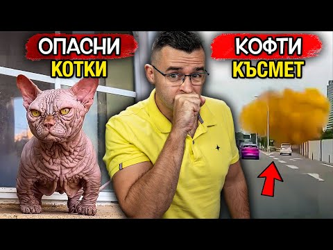 КОТКИ МУТАНТИ заливат света – Новини – Clash News еп. 38