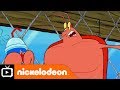 The Healthy Krab Challenge