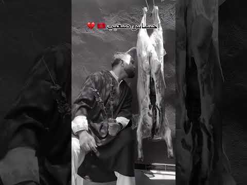ุงูุญู
ุฏ ููู ุนูู ูู ุญุงู โค๏ธ ูุนูุฏ ู
ุจุงุฑู ุนุงู ุงูุฃู
ุฉ ุงูุงุณูุงู
ูุฉ โค๏ธ #comedyfilms #ุงูุณุจููุฑ #ููู
ูุฏูุงุช #ุถุญู
