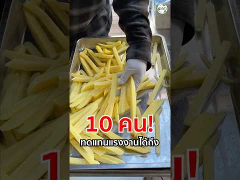เครื่องหั่น มันฝรั่งสุดเจ๋ง ทำกำไรวันละ 2,000! เปิดร้านคนเดียวยังได้่