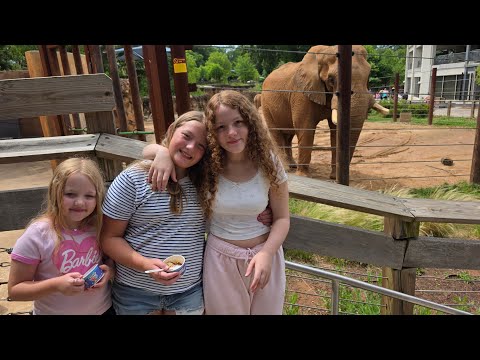 Let's see all the animals at the Atlanta Zoo 2025
