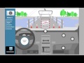 Radius STEM Readiness Program Overview