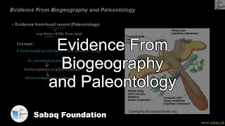 Evidence From Biogeography and Paleontology