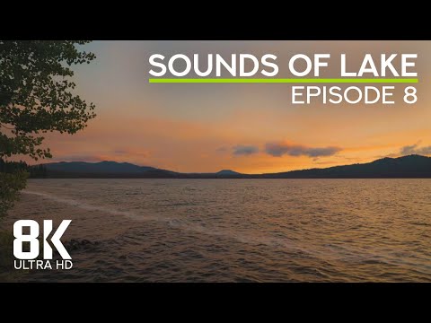Peaceful Sounds of Lake #8 | Sunset Colors in 8K & Gentle Waves Lapping for Relaxation & Deep Sleep