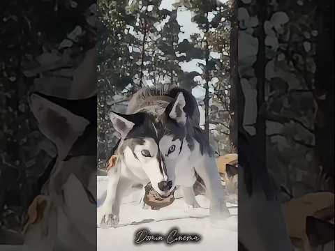 An unsuccessful first trip #movie