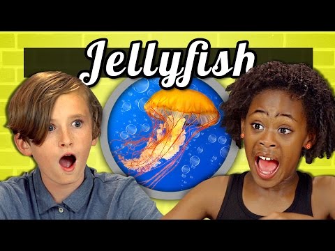 KIDS vs. FOOD #18 - JELLYFISH - YouTube