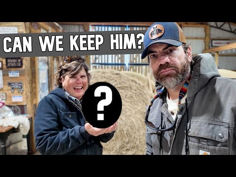 A HUGE Surprise Arrives at the Farm (New Animal Alert!)