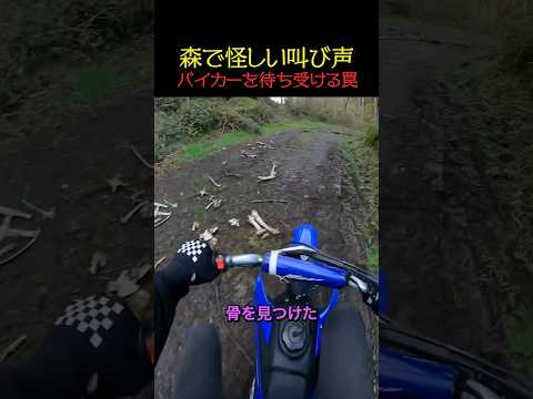 森で響く叫び声