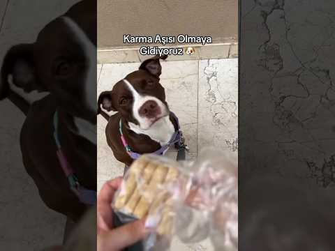 Marla ile Karma Aşısı Olmaya Gidiyoruz