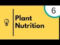 Photosynthesis and Plant Functions