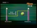 Exploring Exothermic and Endothermic Reactions