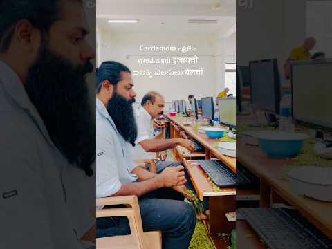ഏലയ്ക്കbusiness 🤑idukki #cardamom #chenni  #music #love #mumbai #tamil #india #kerala #Delhi #mallu