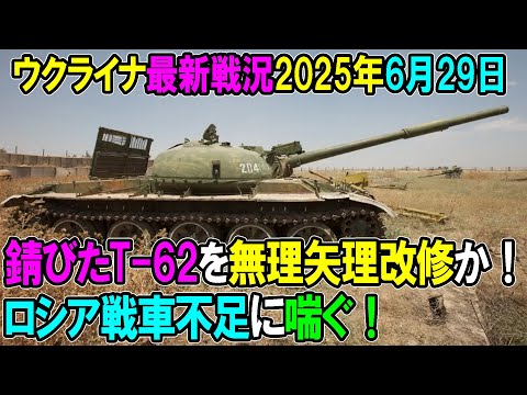 【ウクライナ戦況】25年6月29日。