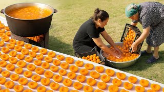 How Grandma Dries Apricots Under the Sun? 🍑 1 Hour Of The Best Recipes