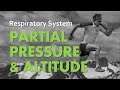 Understanding Partial Pressures and Altitude