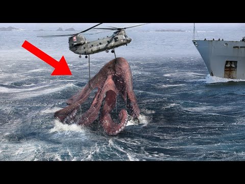 Most Terrifying Discoveries Made Underwater & On The Beach