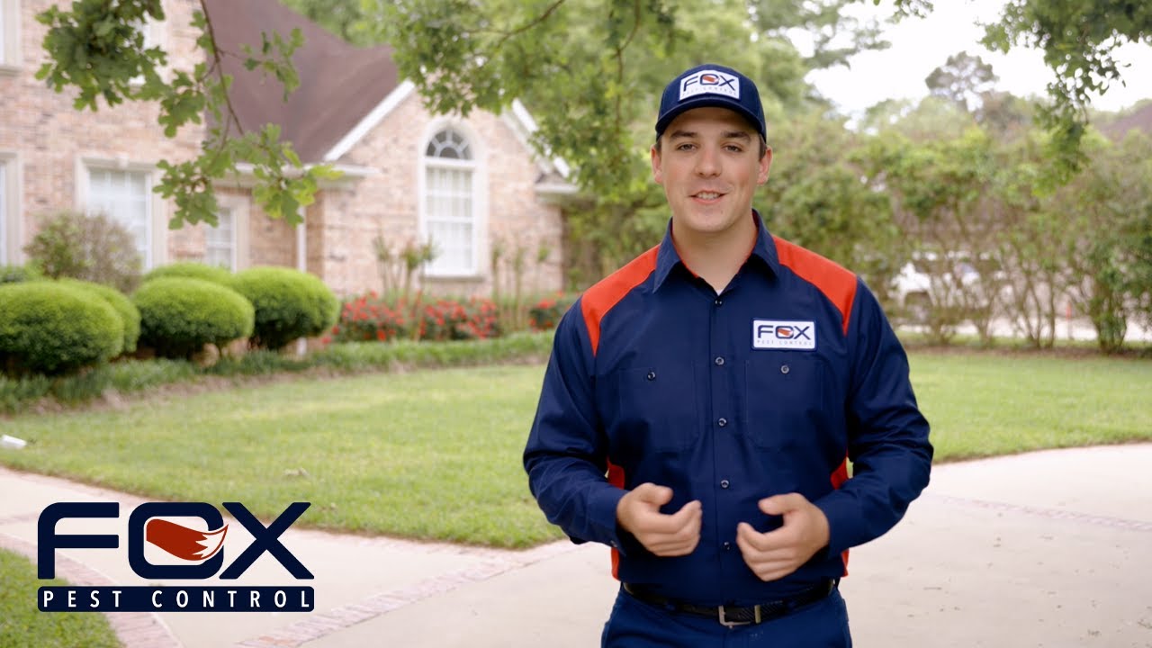 Why you should choose Fox Pest Control in Midland