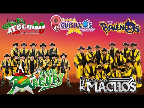 Banda Cuisillos, Pequeños Musical, Machos, Pelillos...y Más - Banda Romántica Movida Mix