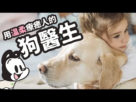 狗與鹿 ｜狗醫生｜用無條件的愛、溫暖的擁抱陪伴，讓一輩子坐輪椅的小孩站起來走路，療癒全人類的溫暖職業 - YouTube06'11