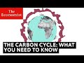 Exploring the Carbon Cycle's Impact on Climate Change