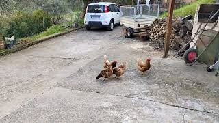  жизнь в итальянской деревне