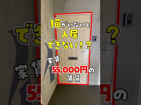 【家賃5万円で猫3匹飼育可】キャットウォークと脱走防止扉を完備したネコ物件に潜入 #ねこ #ルームツアー #ねこ物件