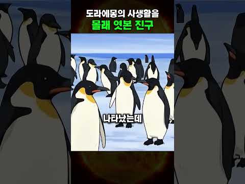 도라에몽 사생활을 몰래 엿본 진구