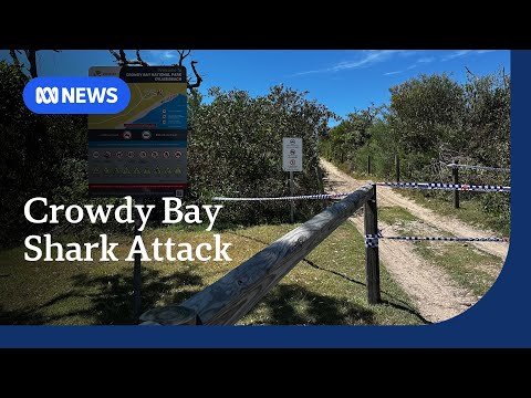 YouTube video thumbnail: Swiss Tourist Tried to Fight off Bull Shark to Save Partner From Fatal Attack