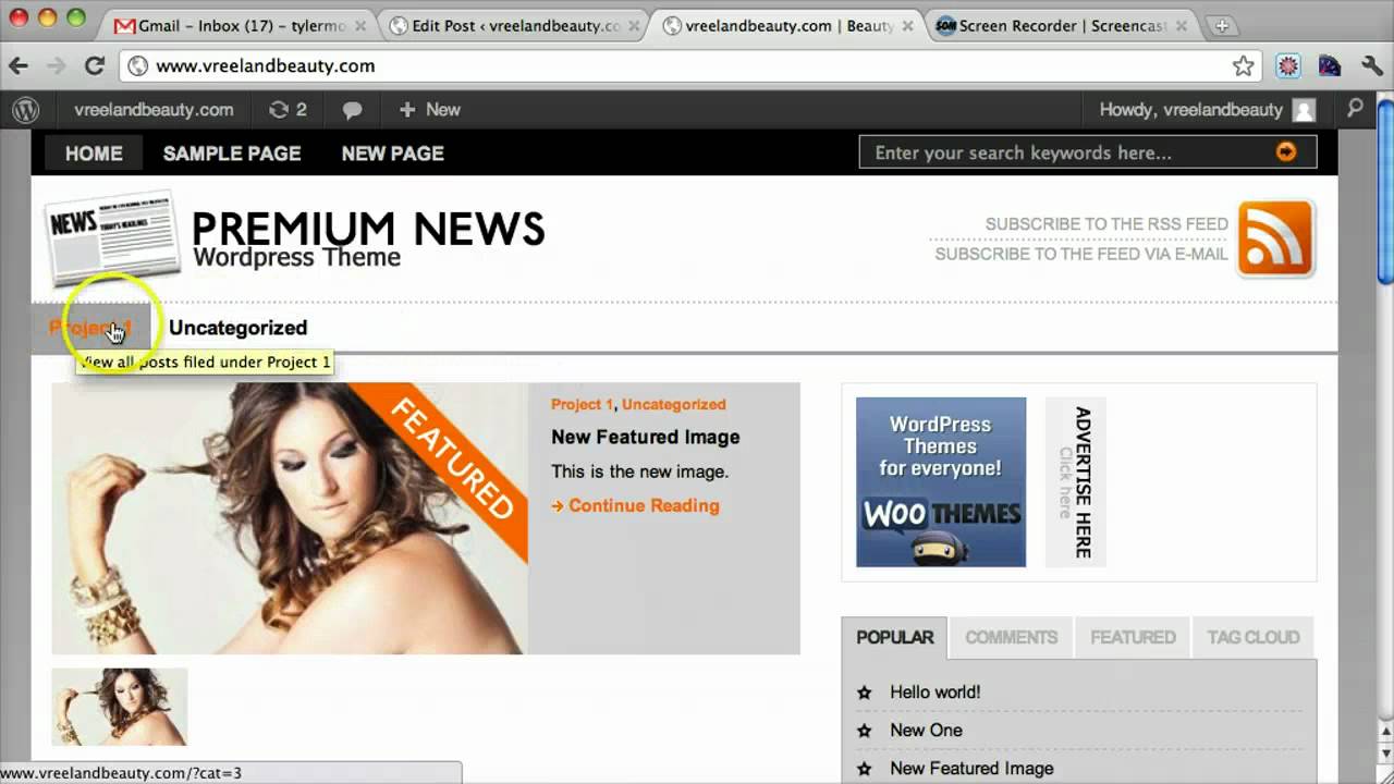 Premium News Wordpress Theme woothemes tutorial - Tyler Moore