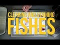 Clearing and Staining Specimens