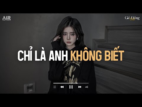 Vì Em Đâu Có Bao Giờ Nghĩ Anh Sẽ Chia Tay TikTok - Chỉ Là Anh Không Biết Lofi - Nhạc Chill Nhẹ Nhàng