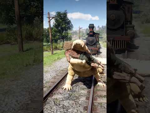 Great Survival Skills vid563