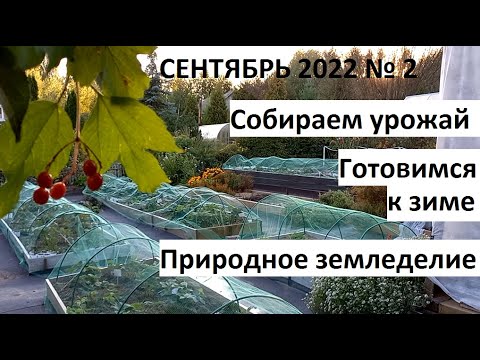 Сентябрь 2022 2. Осень в природном земледелии. Собираем урожай и готовимся к зиме