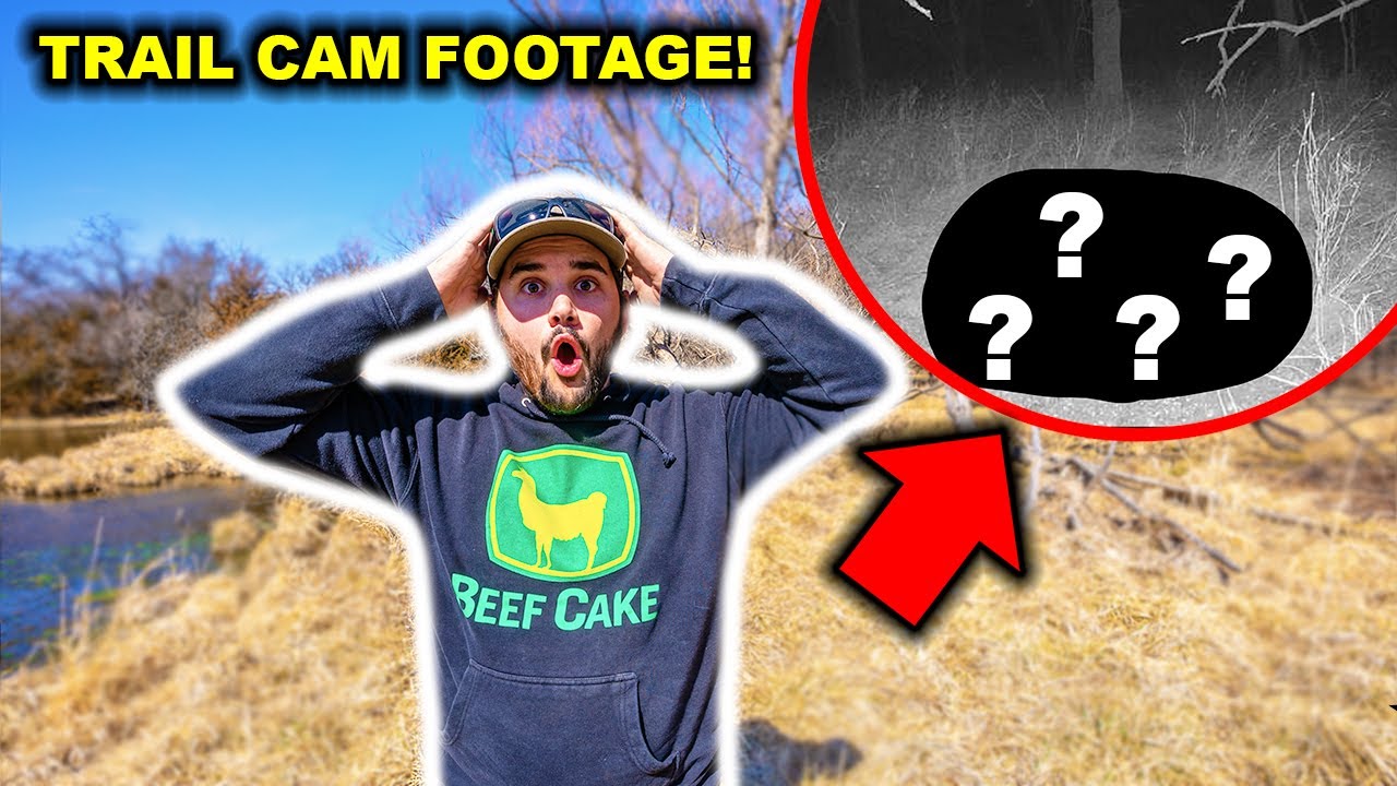 WHAT is Living INSIDE My ABANDONED High-Fence RANCH! (Tons of Trail Cam Footage)