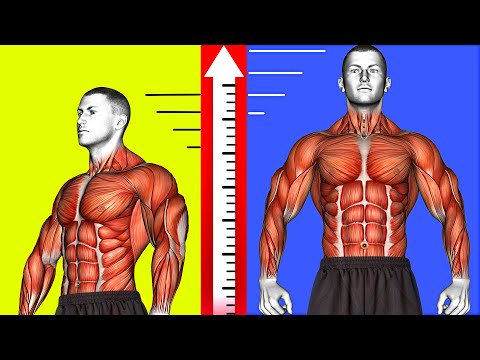 20 Best Exercises to Increase Height and FixPosture