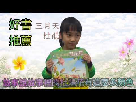 三月天裡的杜鵑花