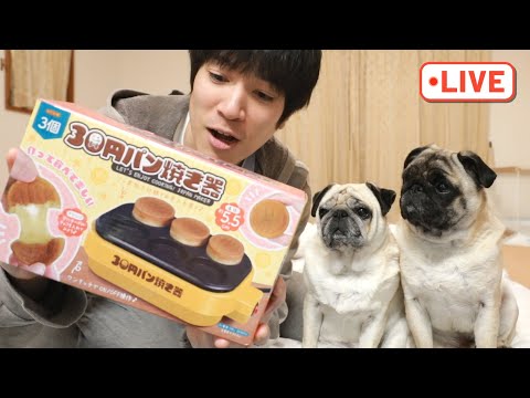 🔴福袋に入ってた『30円パン焼き器』で犬が喜ぶパンケーキを作る生配信！