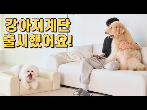 강아지 계단 겸 소파를 만들었습니다!