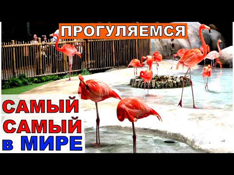 Самый большой в мире аквапарк и небоскреб 858 метров , где поместился целый город. Абу-Даби