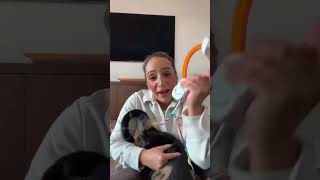 WAS IT WORTH IT?? #viralvideo #youtubeshorts #cat