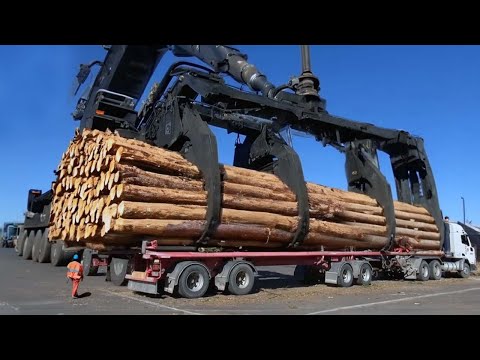 Dangerous Fastest Chainsaw Tree Felling Cutting, Biggest Logging Wood Truck & Wood Sawmill Machines