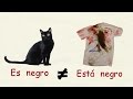 Exploring Adjectives with Ser and Estar in Spanish