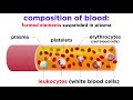 Functions and Components of Blood