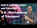 Cell Transport Mechanisms and Processes
