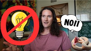 Reptile Heat Lamp Ban Update August 2024💡 What Happens To Our Reptiles Now? Is This Bad? 🐍 #reptiles