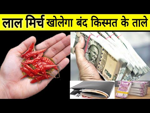 नौकरी और व्यापार दोनों दौड़ पडेंगे बस थोड़ा सा लाल मिर्च रख दें यहां// 1 मुट्ठी राई किस्मत पलट देगा
