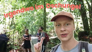 Giftige Tiere im Nacken und Plastikqualm in der Lunge | Australien 3 | Vlog