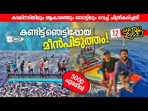 Ep#12 | ജീവൻ പണയംവെച്ചുള്ള മീൻപിടുത്തം! | Pole & Line Fishing in Lakshadweep | Fishermen's Boat Life