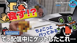 【G-R#04】《食す!?》「ちょこっと行ってみる。」で、配信中にゲットしたこれ…